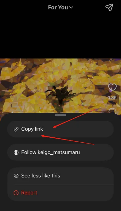 Copy Video Link